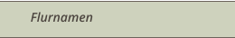 Flurnamen